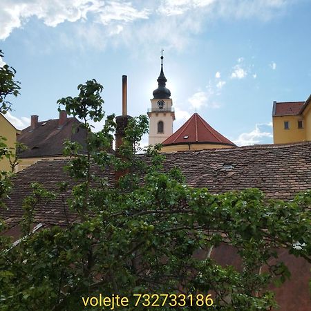 Apartman Horni Hermanuv Mestec U Chrudimi Exterior photo